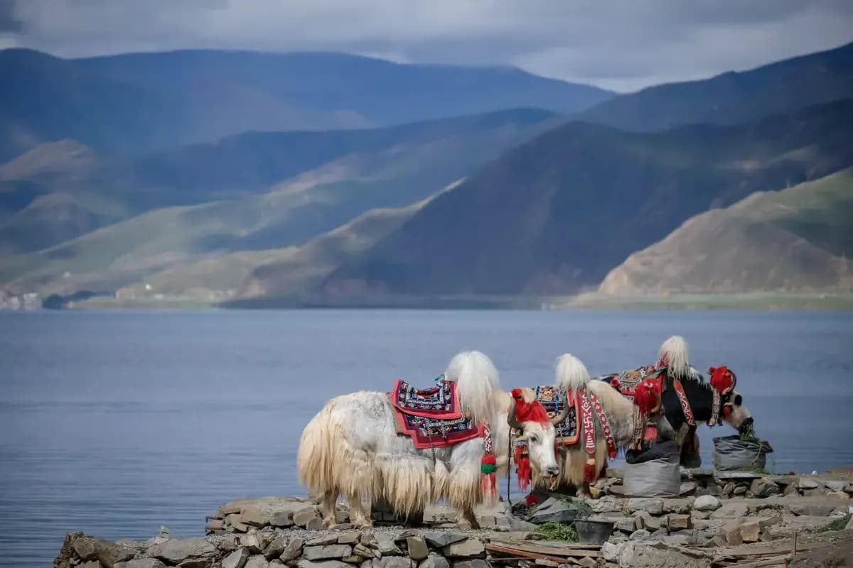 Mount Kailash Pilgrimage via Kyirung (Highest Point 5670m) 
