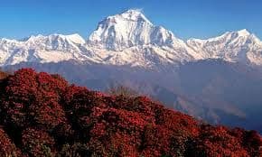 Ghorepani Poon Hill Trekking